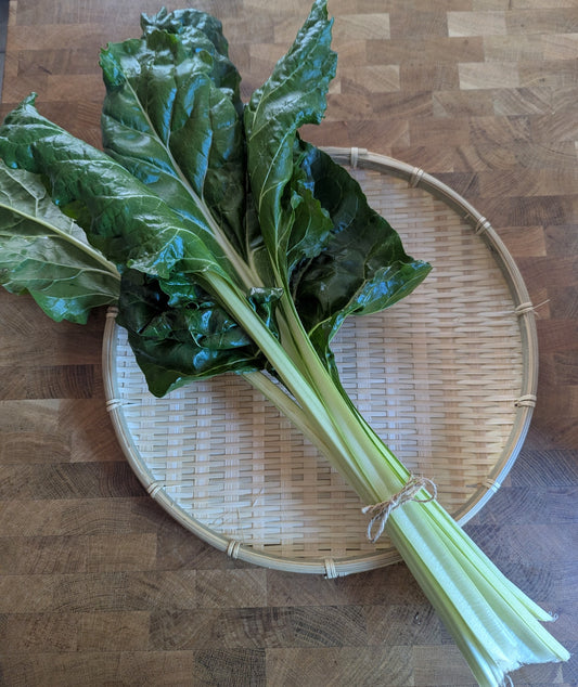 Swiss Chard Bunch