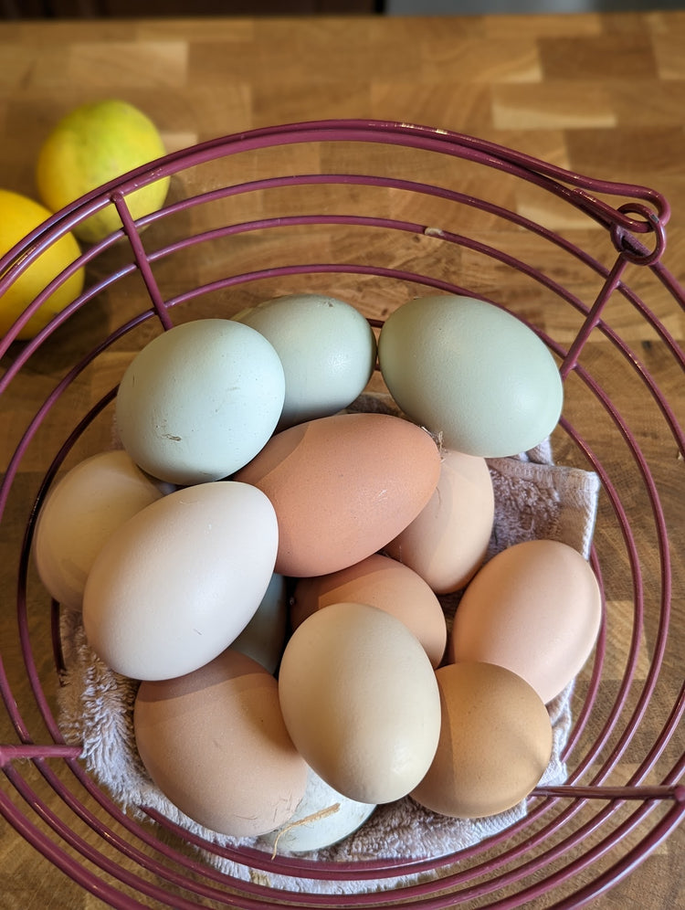 Farm Fresh Eggs (Dozen)